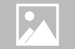 pp电子官方网站-跨越半个世纪 爱尔兰绿茵老友在湖南韶山与小球员“过招”|杰拉德·莫雷诺|爱尔兰足球|校园足球|湖南省|韶山市